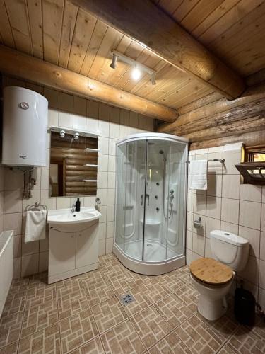 a bathroom with a shower and a toilet and a sink at Après CHALET in Comandău