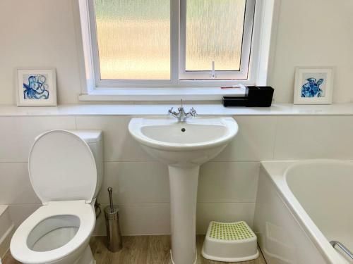 a bathroom with a sink and a toilet and a window at Beautiful Two Bedroom Cottage in Morriston