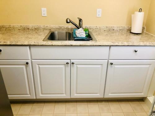 アルバニーにあるRose Ellen’s Country Estateの- シンクと白いキャビネット付きのキッチンカウンター