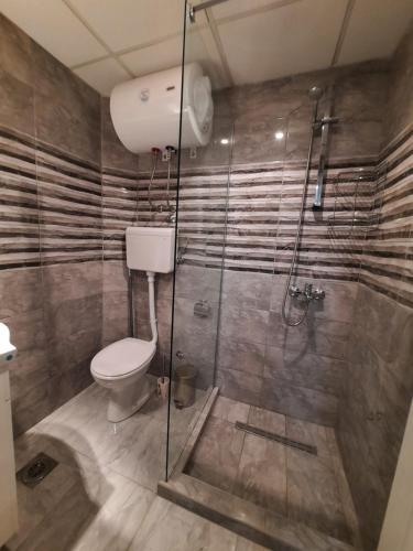 Un baño con inodoro y ducha de cristal. en Apartman STEVAN Vrnjačka Banja, en Vrnjačka Banja