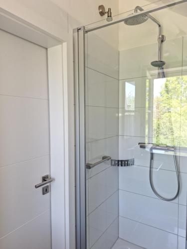 ein Bad mit einer Dusche und einer Glastür in der Unterkunft Ferienhaus Altes Backhaus in Roetgen