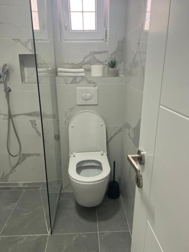 a bathroom with a white toilet and a shower at Apartments Mrdak in Bar