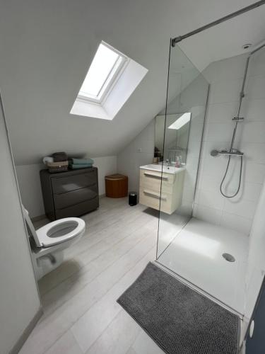 a bathroom with a shower and a toilet and a sink at Largo Bayeux in Bayeux