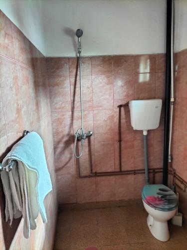 a bathroom with a toilet and a shower with a towel at Casa Proto in Costinesti
