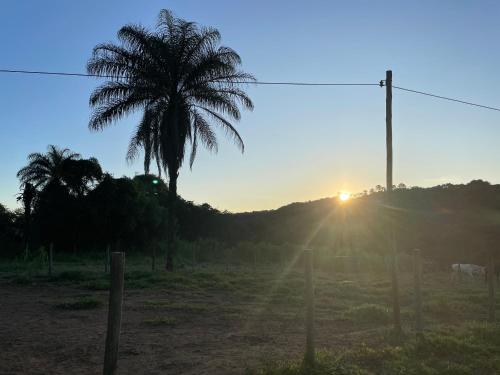 a palm tree in a field with the sun setting at Chalés do Recanto in São João del Rei