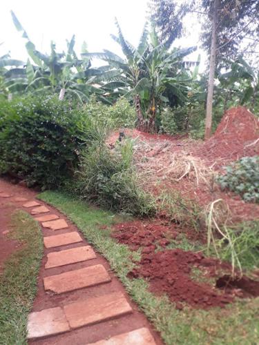 un camino de ladrillo en un jardín con arbustos y árboles en Hfarms Guest House en Wakiso