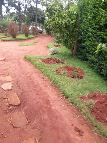 a red dirt road with grass and trees on it at Hfarms Guest House in Wakiso