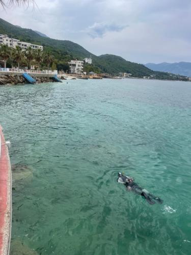 a person swimming in the water near a beach at Ivi's apartment sea view in Vlorë