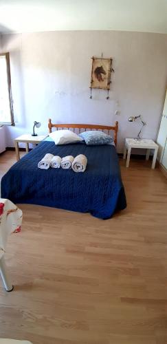 a bedroom with a bed with a blue comforter at Chez Josie, chambre 18mCarre dans une longère Normande in Francheville