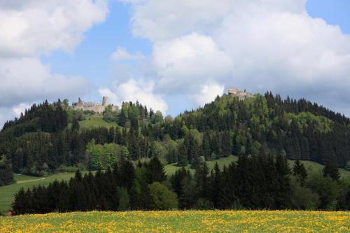 a hill with houses on top of a field of flowers at Ferienwohnung Bergnah in Pfronten