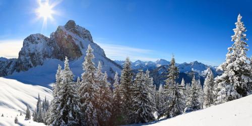 a snow covered mountain with snow covered trees and the sun at Ferienwohnung Bergnah in Pfronten