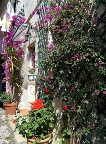un bouquet de fleurs sur le côté d'un bâtiment dans l'établissement Coup de coeur de la cité médiévale, à Hyères