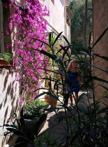 un groupe de fleurs suspendues à un bâtiment dans l'établissement Coup de coeur de la cité médiévale, à Hyères