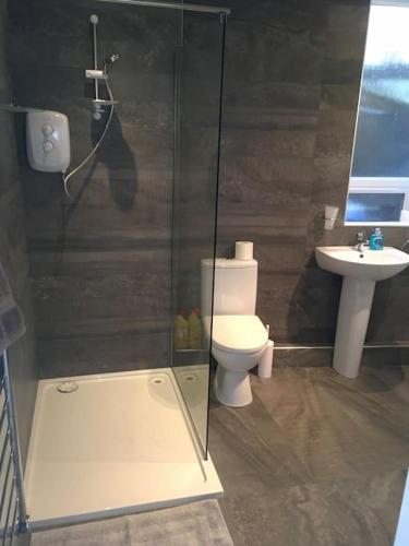 a bathroom with a shower and a toilet and a sink at The Bolthole in Limekilns