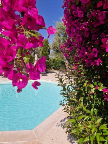 Bazén v ubytování Hôtel La Villa Cap d’Antibes nebo v jeho okolí