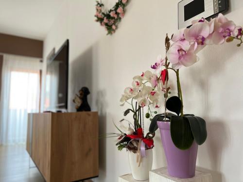 Ο χώρος του λόμπι ή της ρεσεψιόν στο Apartment HUMAC, Ljubuški
