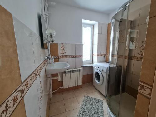 a bathroom with a sink and a washing machine at Gospodarstwo Agroturystyczne Julia in Czeremcha