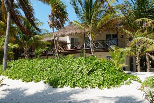 a house on the beach with palm trees at Grand Slam Fishing Lodge Tulum in Punta Allen