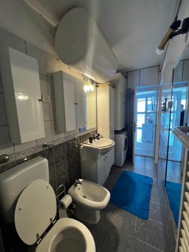 a bathroom with a toilet and a sink at Dolce vita Apartment in Senj