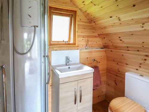 - une salle de bains pourvue d'un lavabo et d'une douche dans une cabane en rondins dans l'établissement Pine Lodge, à Llangadog