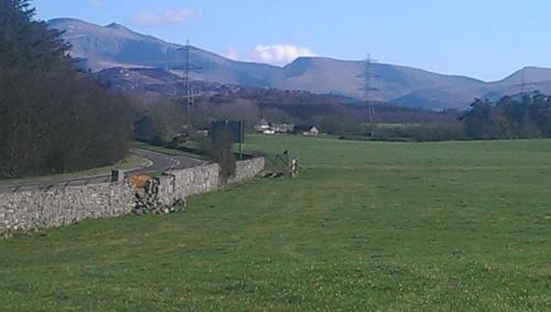 a stone wall in a field with mountains in the background at Groeslon Ty Mawr B & B in Llanddeiniolen