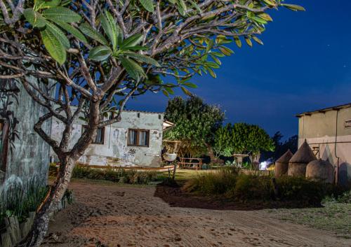 an old house with a tree in front of it at The Prawn Hatchery Pty Ltd on Amatikulu in Dokodweni