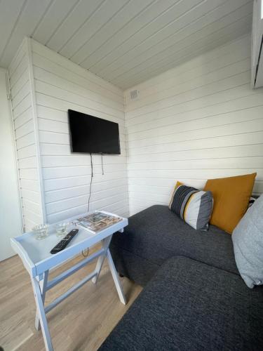 Habitación con sofá, mesa y TV. en Lyckan - Minihus i lantlig miljö en Ulricehamn