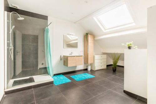 a bathroom with a shower and a sink at African heritage Tervuren in Tervuren