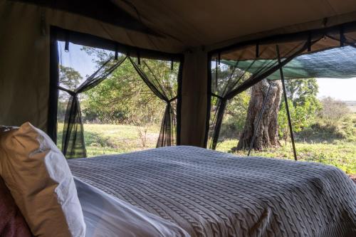 a bed in a tent with a view of a tree at Basecamp Adventure in Masai Mara