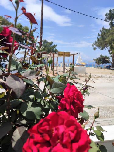 Gallery image of Thasos Blue Apartments in Prinos