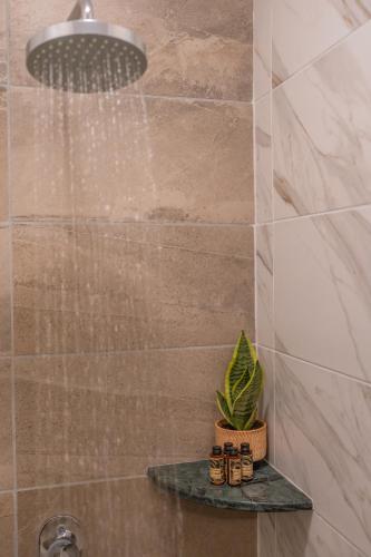 Ένα μπάνιο στο The Stone Manor , Noho boutique Thissio