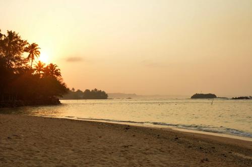 a beach with palm trees and the ocean at sunset at Sunny Lanka Guest House in Matara