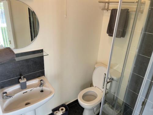 Un baño con inodoro, lavabo y espejo. en Shannon Oasis, en Carrick on Shannon