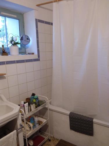 a bathroom with a shower and a sink and a tub at Chambre d'hôtes ici in Bédoin