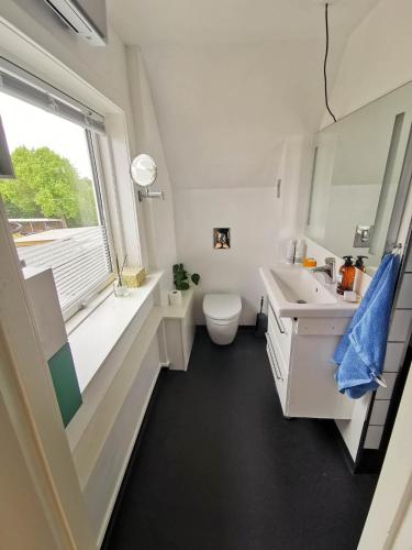 ein Badezimmer mit Toilette, Waschbecken und Fenster in der Unterkunft Seaview in Hylleholt