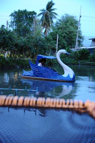 Kolam renang di atau dekat dengan บ้านสวนตาฤทธิ์อำเภอปัว