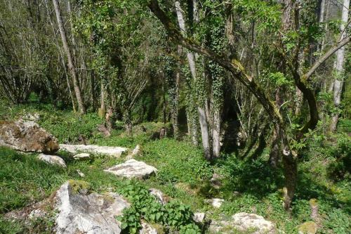 a wooded area with rocks and trees at Gîte MOULIN DU CROS 4 , 6 personnes in Faleyras
