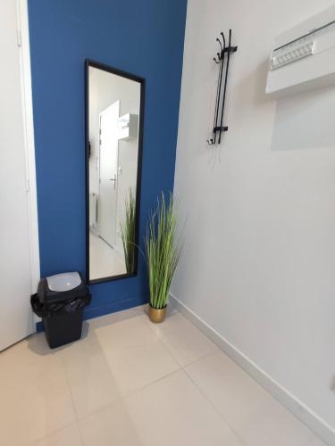 a bathroom with a mirror and a plant at Résidence Jehan Froissart in Valenciennes