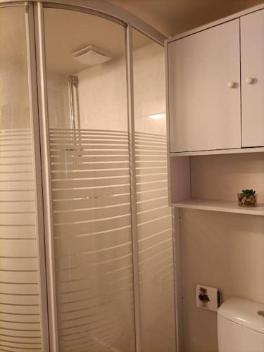 La salle de bains est pourvue d'une douche en verre et de toilettes. dans l'établissement Agréable et paisible studio, à Franqueville-Saint-Pierre