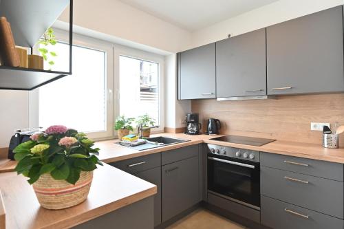 a kitchen with gray cabinets and a pot of flowers on a counter at Quartier Oberhut in Bad Neuenahr-Ahrweiler