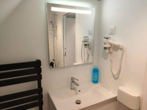 ein Bad mit einem Waschbecken und einem Spiegel in der Unterkunft Dakar - Bel appartement à Reims in Reims