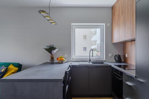 Dapur atau dapur kecil di Lumina comfy apartment Lodz