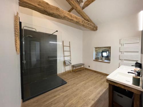 a bathroom with a shower and a sink in a room at Gîte à la campagne au bord d'un Lac 8 personnes in Saint-Quentin-sur-Charente
