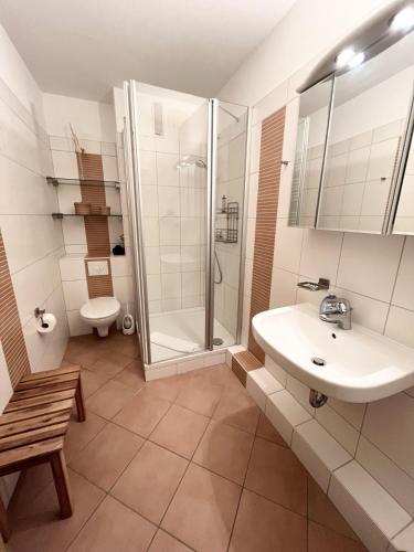 a bathroom with a shower and a sink and a toilet at Germania-30 in Böhl