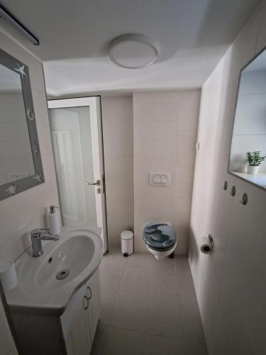ein weißes Badezimmer mit Toilette und Waschbecken in der Unterkunft ZAD Senj Apartman in Senj