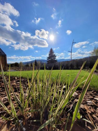 a field of grass with the sun in the sky at Wimer Domki in Wysowa-Zdrój