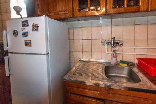 La cuisine est équipée d'un réfrigérateur blanc et d'un évier. dans l'établissement La casa de Bašta, à Bajina Bašta