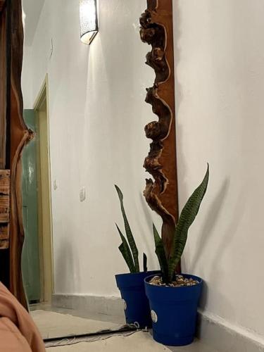 Seaside apartment – Photos 2