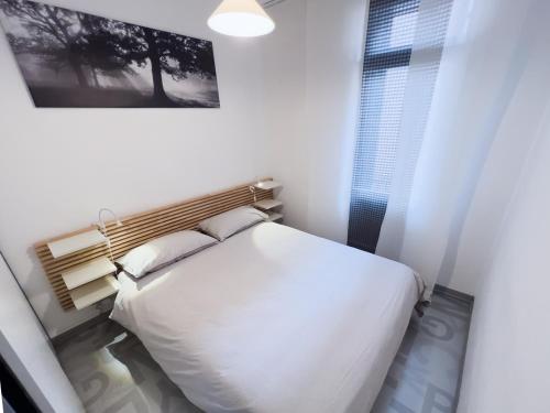バッサーノ・デル・グラッパにあるDa Carlottaのベッドルーム(白いベッド1台、窓付)