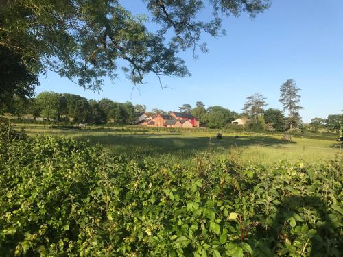 a field of grass with a house in the background at The Barn in Landkey